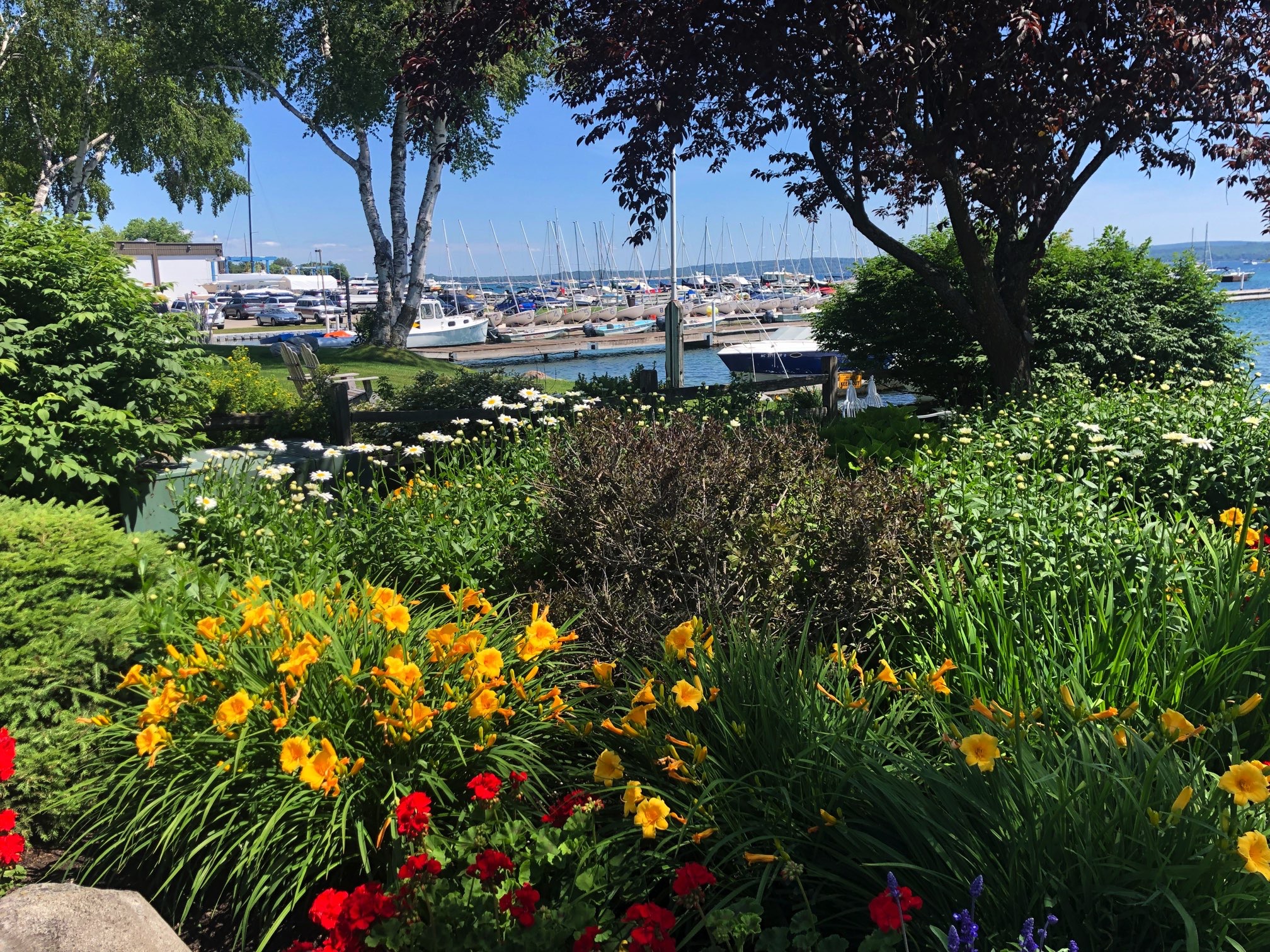Our Summer Vacation in Harbor Springs