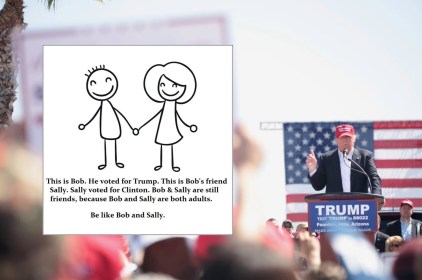 Friends Don’t Let Friends Vote Trump… Or Do They?
