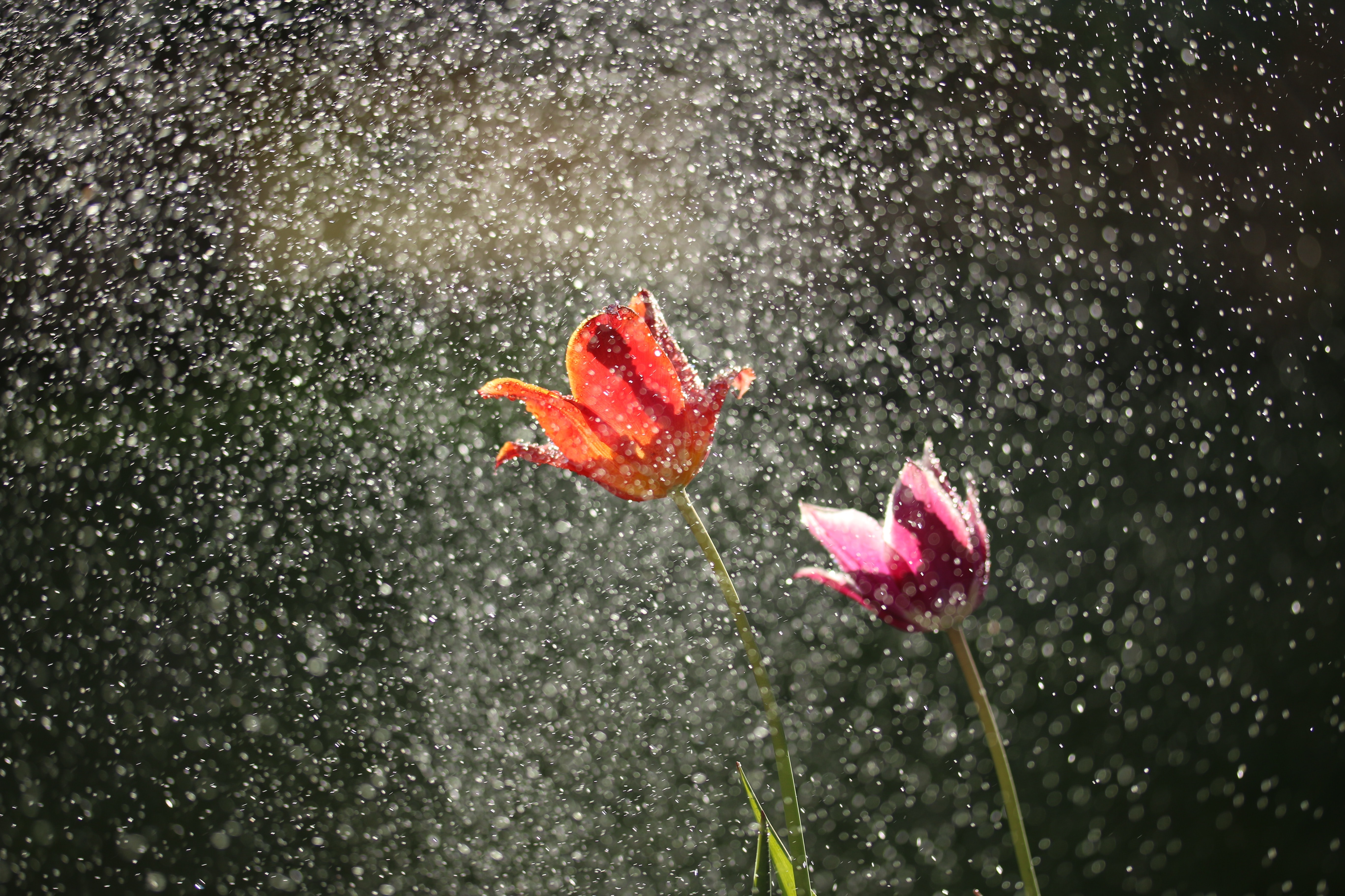 Mindfulness, Happiness & ‘RAIN’