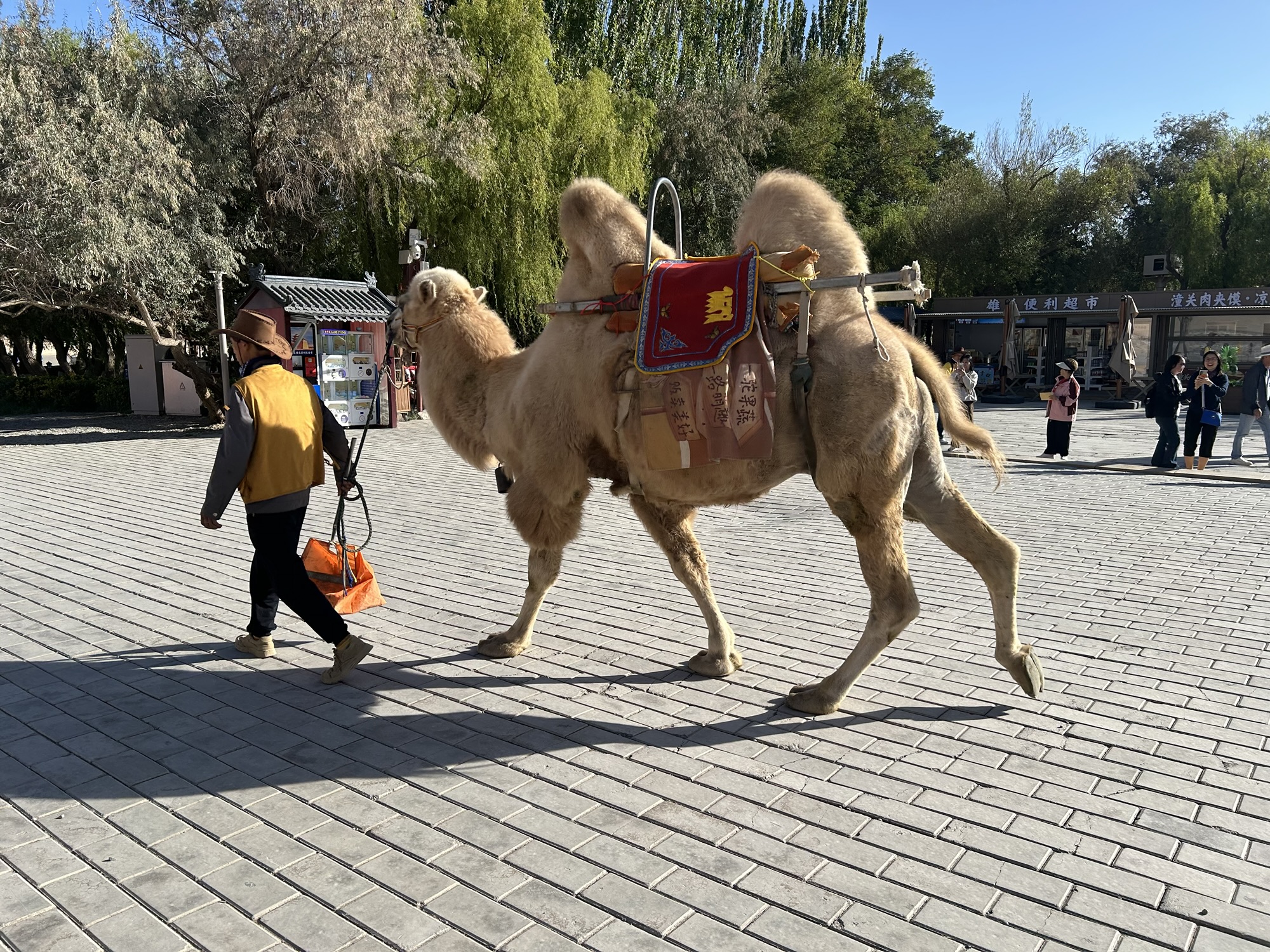Our Great Wall Journey: Day 9